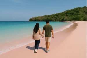 Tour Harian Pantai Pink