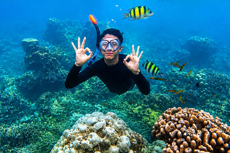 Snorkeling Pulau Harapan Kepulauan Seribu